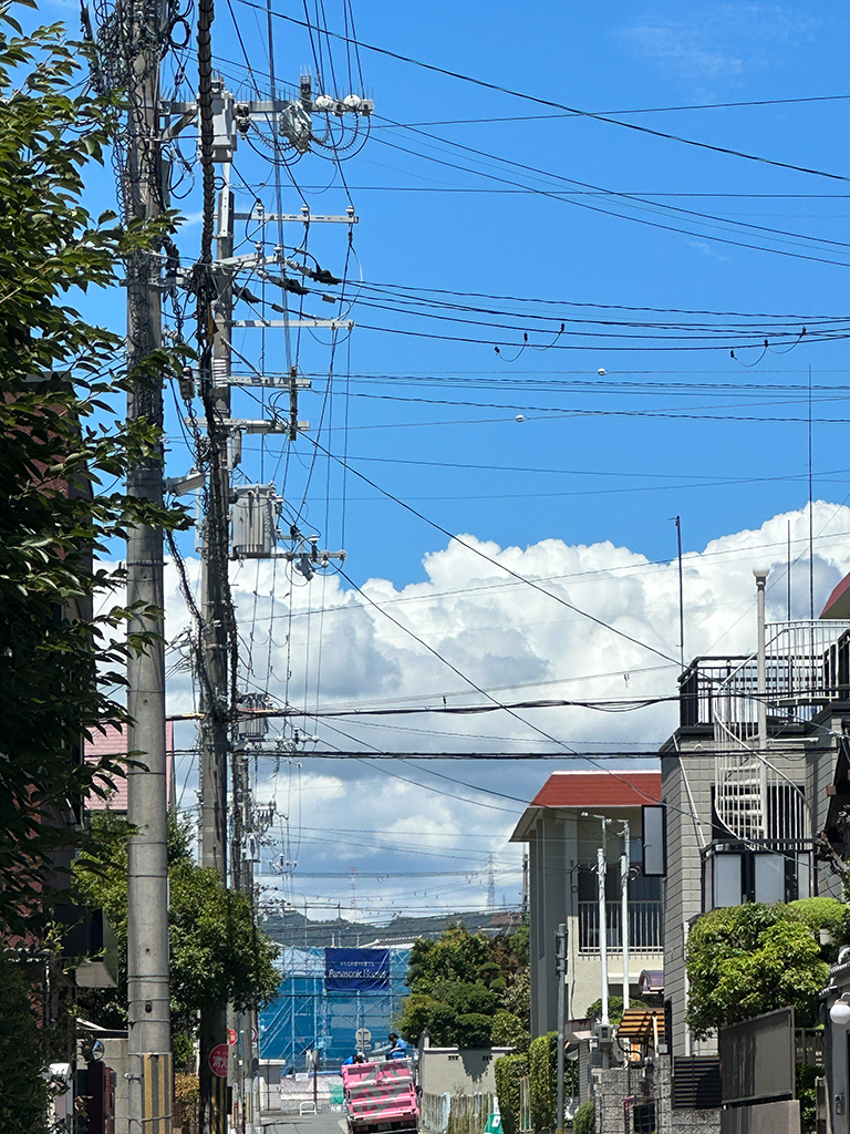 2023夏の風景